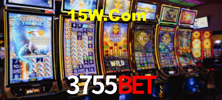 Premium Interface 3755BET